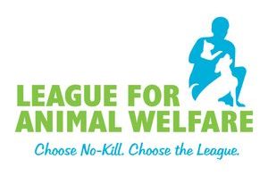 League-Image