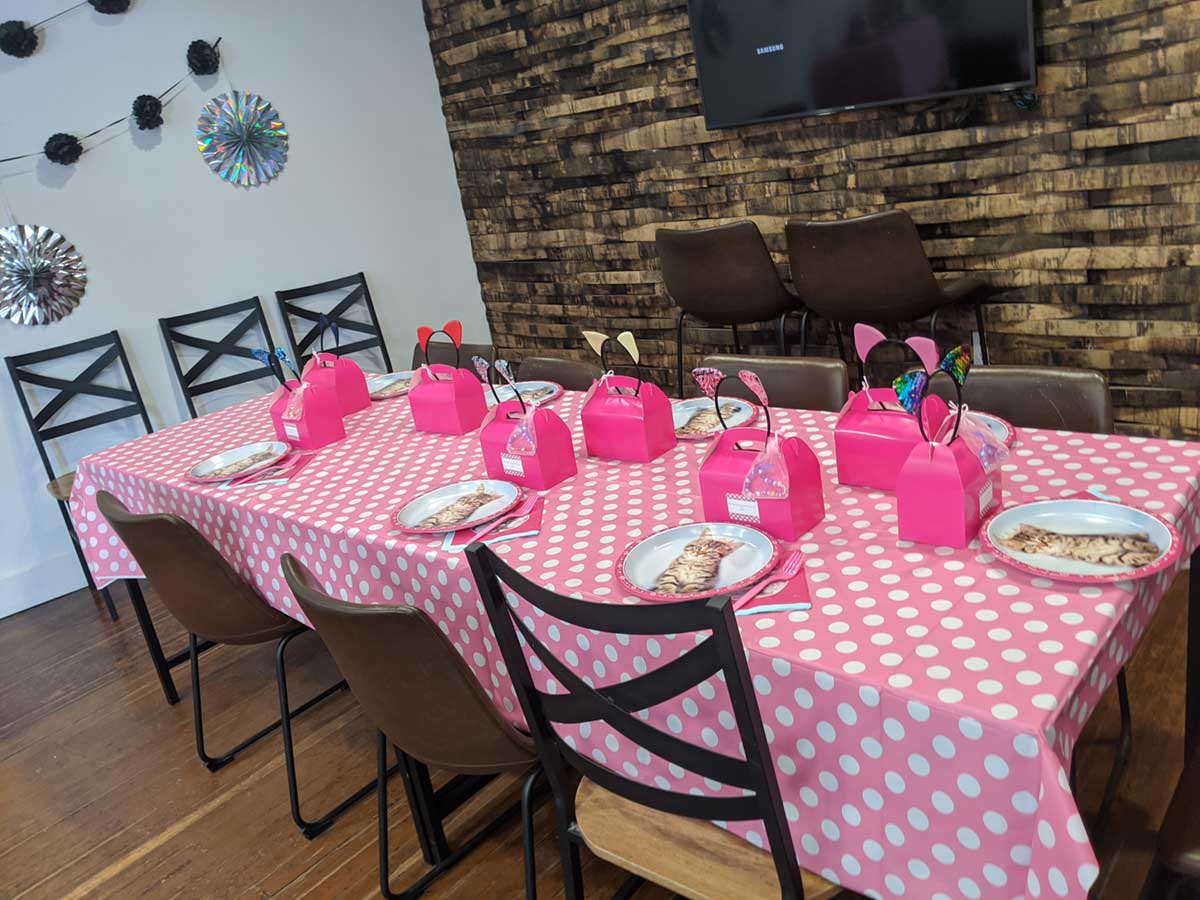 Purrfect Day Cafe Private Pawtie General Rules