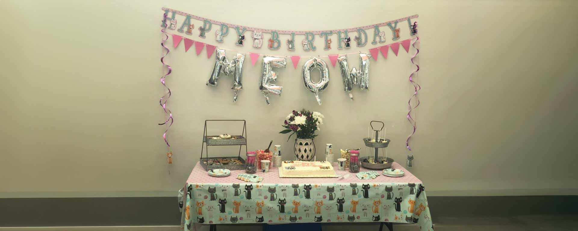 Purrfect Day Cafe Louisville private parties
