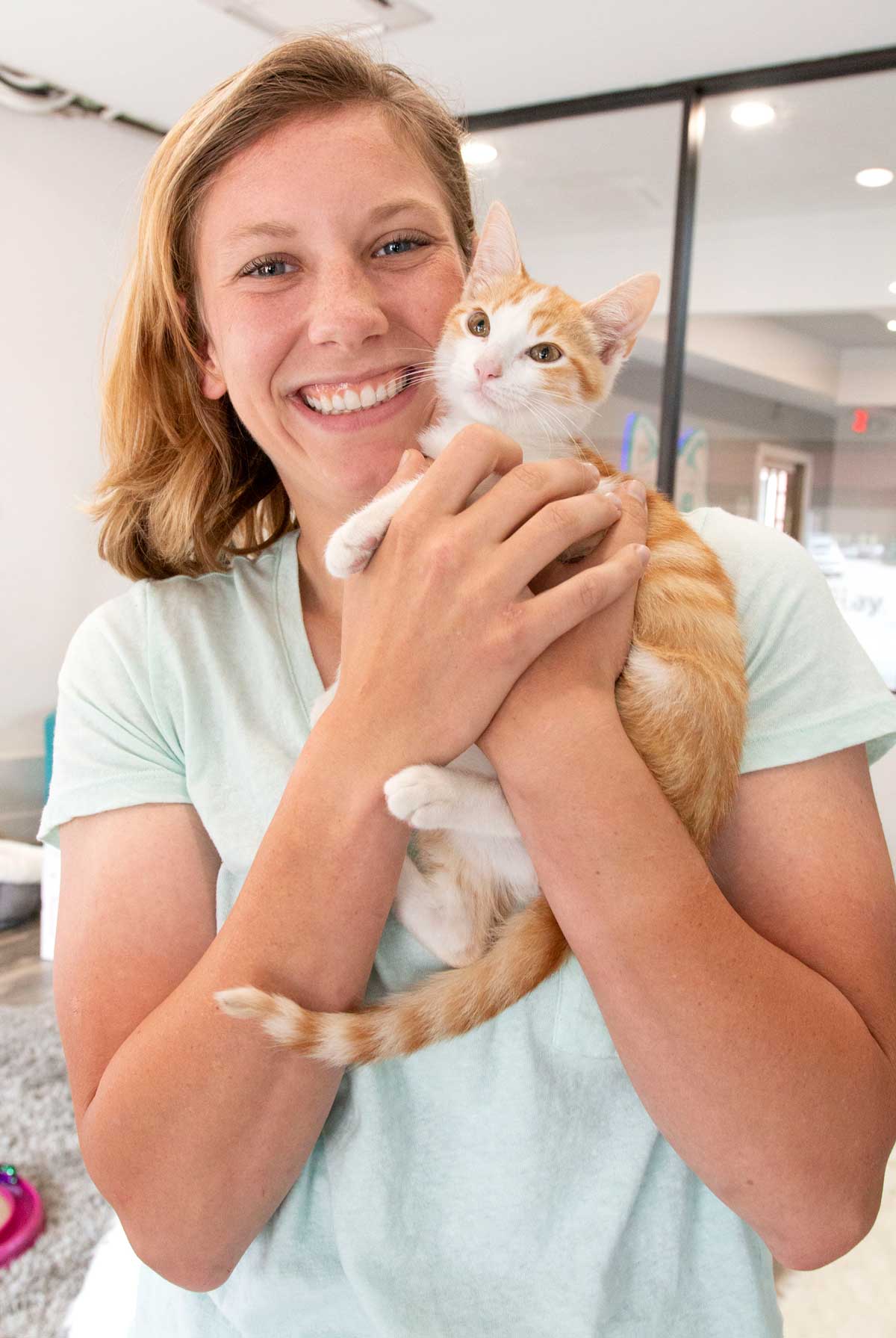 Purrfect Day Cat Cafe gallery